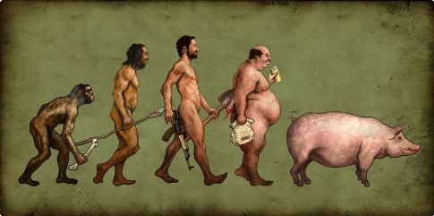 man evolves into pigs